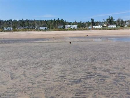 Terrain de camping à Rivière-Pentecôte (Côte-Nord)