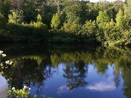 Superbe Terrain Boisé Avec Rivière Et La