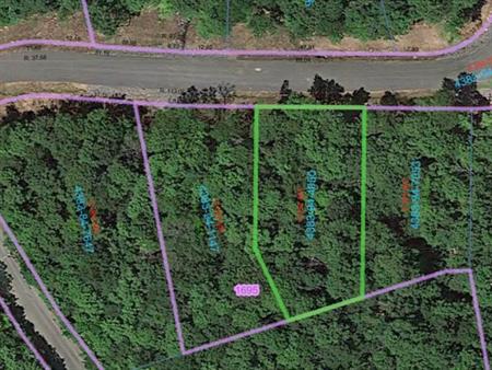 Terrain de 18 000 pi2 à vendre, secteur Blue Hill's à Morin-Heights