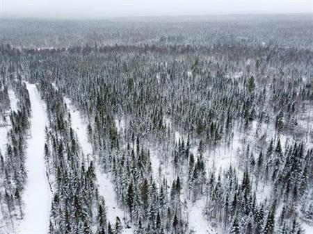 Milan (Estrie) : Terre à bois de 39,98 acres avec droit de construction, sentier de vtt, rivière, pêche, chasse