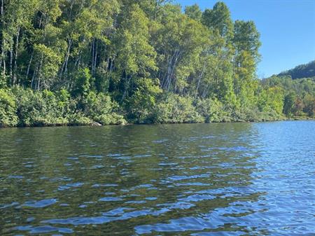 2 Terrains au bord du lac Tapani