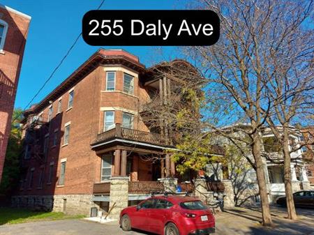 1 Bedroom Sandy Hill Apartment for Rent (255 Daly Ave)