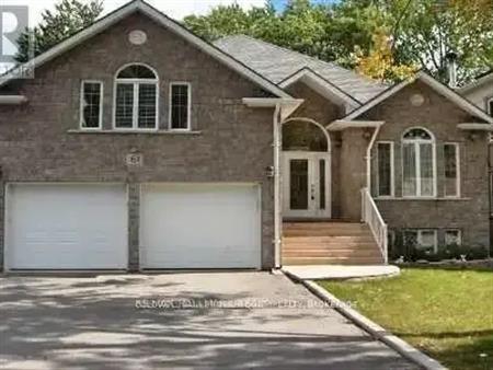 61 FERGUS AVENUE | 61 FERGUS AVENUE, Richmond Hill