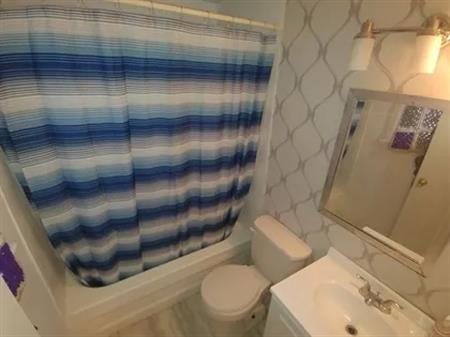 1 room room of 338 m² in Kitchener