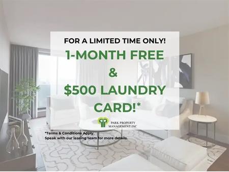 383 Albert Street | 383 Albert Street, Waterloo
