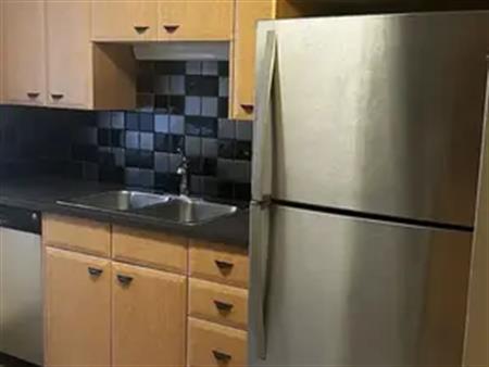 Bright 2 bedroom suite close to transit, pubs, UofC, MRU, 17th Ave | Calgary