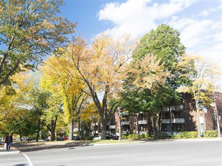 4 1/2 avenue de Vimy près du cégep Garneau- tt inclus-1er mai