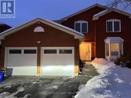 BASEMENT - 1596 MAJOR OAKS ROAD | BASEMENT - 1596 MAJOR OAKS ROAD, Pickering