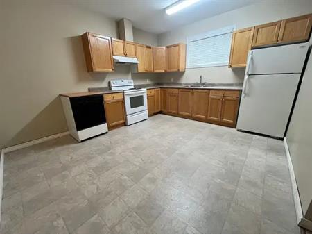 Manning Town Center - Large Bright 2 Bed Bsmt Suite Newer Home Close to Transit | 5115 152A Avenue Northwest, Edmonton