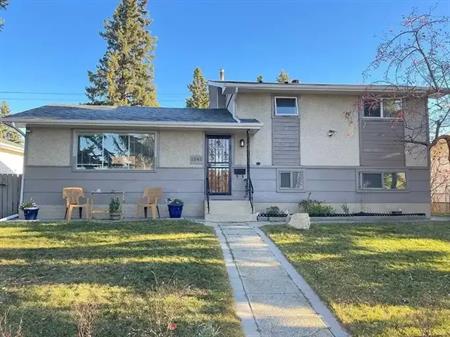 3 bedroom basement legal suite with ground level access -minutes from U of C | 1242 Northmount Drive Northwest, Calgary