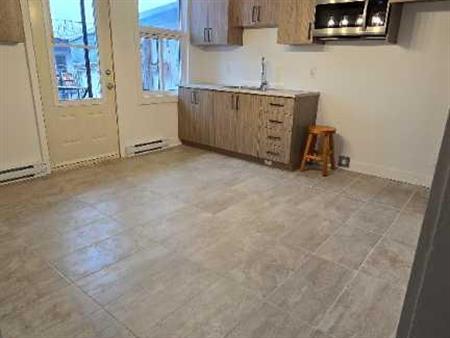 3 1/2 tout rénové, disponible maintenant, chambre fermée