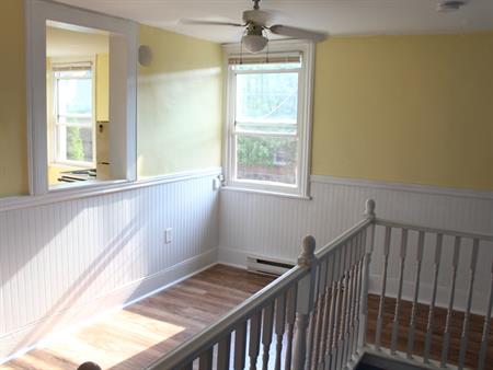 Sydenham Street Bachelor | 238 Sydenham Street, Kingston