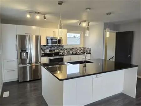 Complete Reno'd 4 Bedrm 2 Bathrm w/Finished Basement, Double Oversized Garage | 13524 111 Street Northwest, Edmonton
