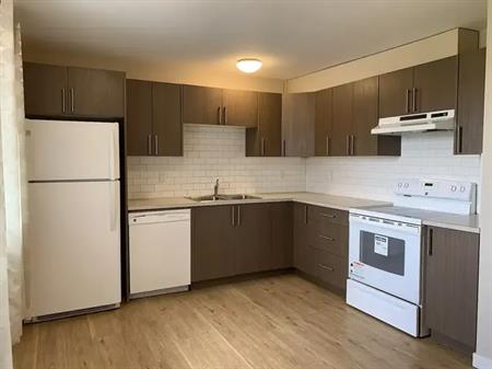 LIKE NEW! Large 3 Bedroom + Den Home in the NE | 72 Abingdon Way Northeast, Calgary