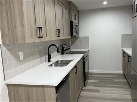 Newly built 2 bedroom basement available for rent | Calgary