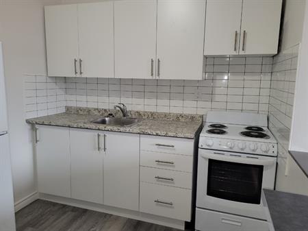 Fully Renovated 1 Brdm - ONE MONTH FREE!! | 30 Mohawk Road West, Hamilton