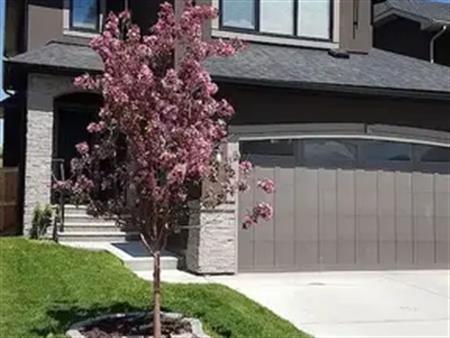 Gorgeous Legal Secondary Suite in Aspen Woods | Calgary