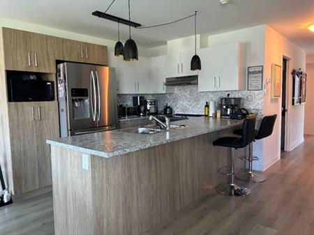 Logement 4 1/2 - 1er Juillet - Saint-Jérôme