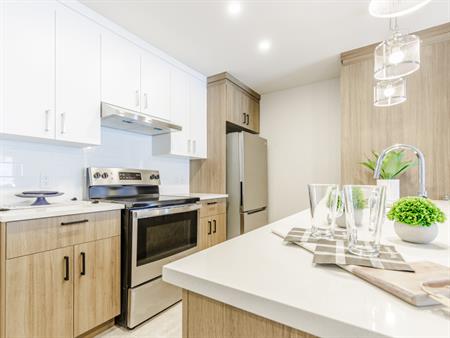 4 1/2 Condo De Luxe - District