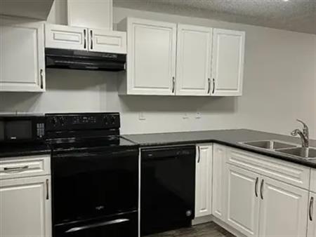 Cozy modern 1 bed 1 bath lower suite in townhouse*Private Entrance & Laundry! | 19 Ebbers Close, Edmonton