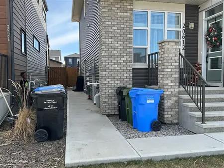 1 Br / 1 Bath Basement suite - Seton -  (utilities Included) | 20616 Main Street Southeast, Calgary