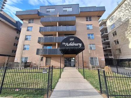Cozy 1 bedroom downtown Area (Out of Beltline) | 102 - 120 15 Ave SW, Calgary