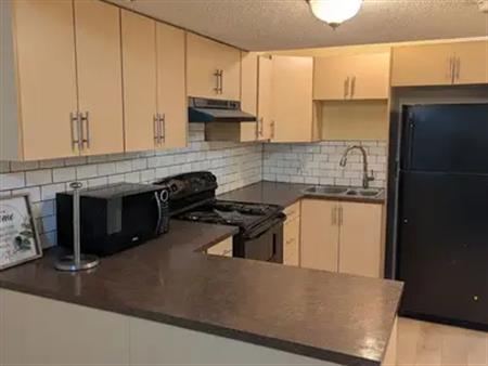 Your Comfortable Taradale Lifestyle Awaits: Modern 2-Bedroom Basement Suite | Calgary