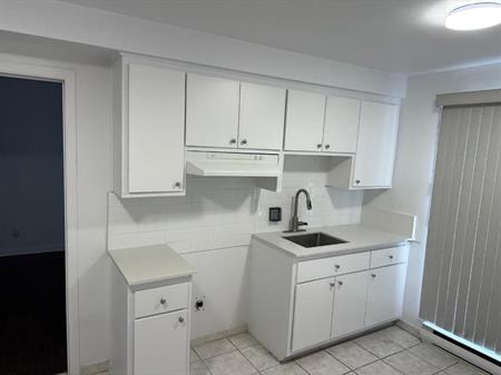 Grand 3 1/2 Nouveau-Rosemont 1300$ dispo mtn