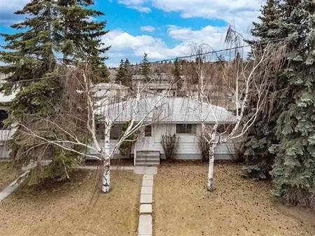 Spectacular location! Winston Height - 4 Bed 1 Bath - PET FRIENDLY | 631 34 Avenue Northeast, Calgary