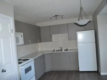 Renovated | 3327 56 Street Northeast, Calgary