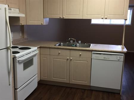 Basement Suite - 3140 30 Avenue | 3140 30 Avenue Northwest, Edmonton