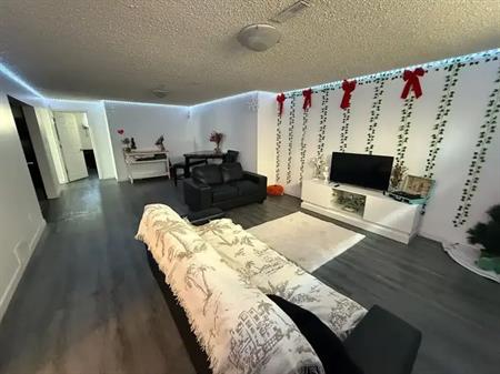Beautiful and Cozy Renovated 2 Bedroom Basement Suite - Forest Heights by River | Edmonton