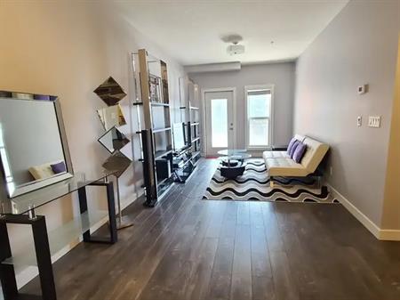 New 2 bed 2 bath apartment by the river valley in a central location! | Edmonton