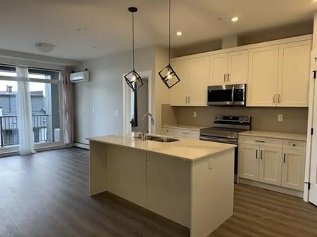 Huge Discount ! 2 bed condo, pet friendly, AC, Seton | Shawn - 200 Seton Circle Southeast, Calgary