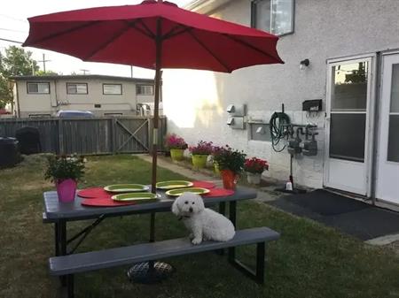 Newly renovated, spacious 2-bedroom+1den lower unit, with in-suite laundry | 7718 Bowness Road Northwest, Calgary