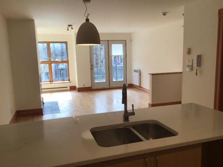 4 1/2 dans le Mile-End, Plateau Mont-Royal