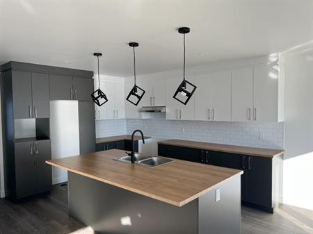 Superbe 4-1/2 au style contemporain à Warwick