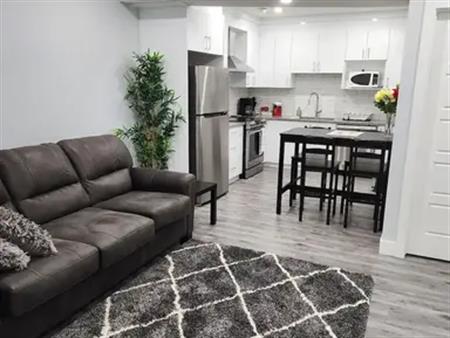 Spacious 1 bedroom 1 bathroom basement for rent | Edmonton