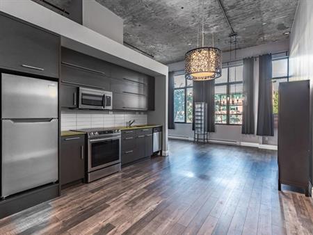 Condo espace ouvert (Loft)