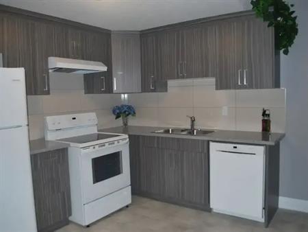 2 BEDROOM (Newer House) Basement Suite | 3516 - 8 Street NW, Edmonton