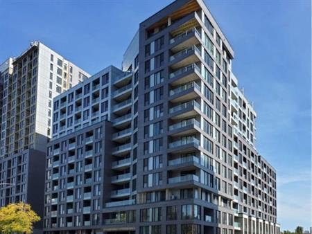 1 Bed 1Bath Apartment for rent