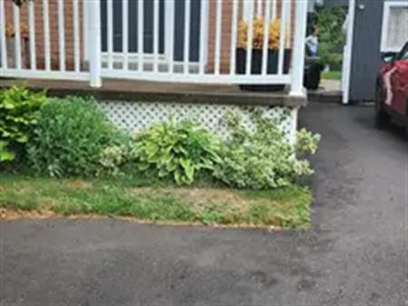 136 Sheldon Ave (Main Floor) Newmarket | 136 Sheldon Avenue, Newmarket