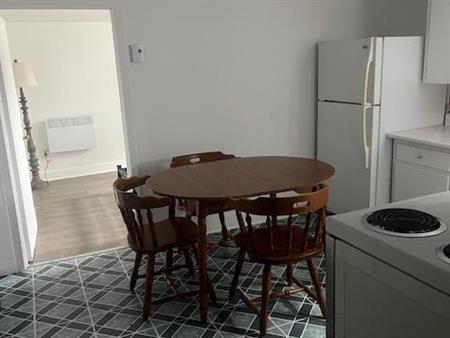 Duberger, 2 1/2 demi sous-sol meuble très tranquille
