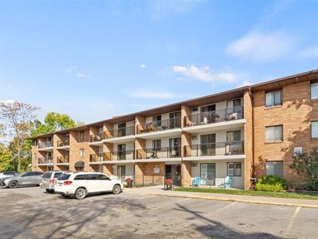 Historic Town Apartments
