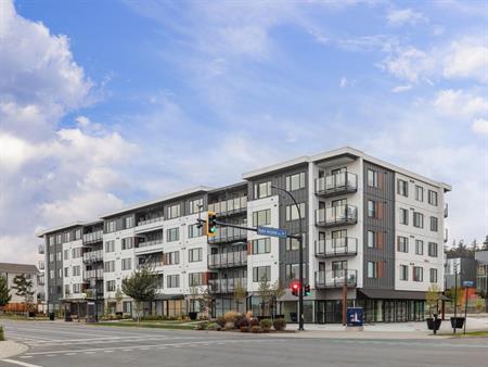 Monarch Apartments