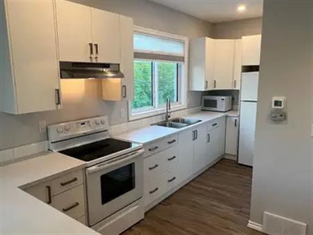 Brand New Garage Suite near U of A | 11615 73Ave, Edmonton