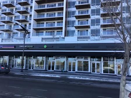 2 story luxury Brownstone | 102 - 8505 Broadcast Avenue Southwest, Calgary