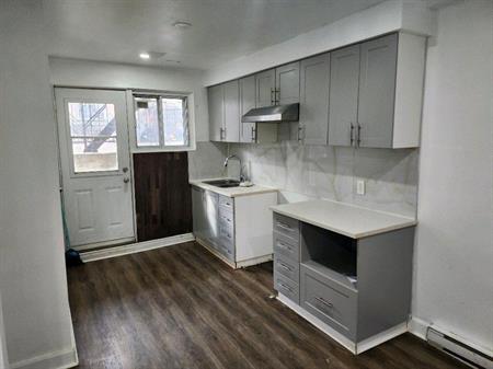 Very big apartment for rent (3 bedrooms)