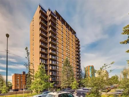 102 Centro | 733 14 Avenue Southwest, Calgary