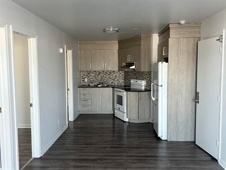 Appartement 4 1/2 à Louer